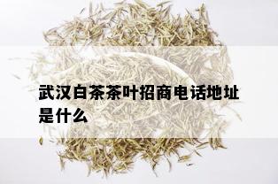 武汉白茶茶叶招商电话地址是什么