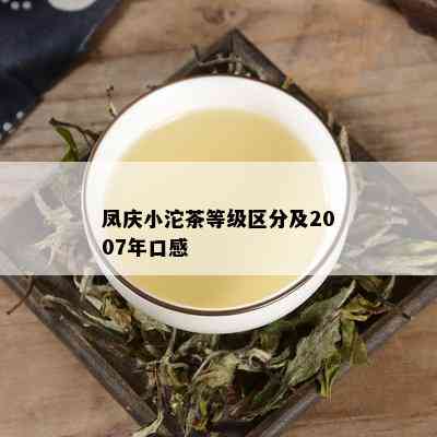 凤庆小沱茶等级区分及2007年口感