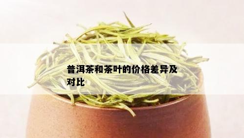 普洱茶和茶叶的价格差异及对比