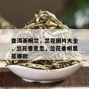 普洱茶畹兰，兰花图片大全，兰花香意思，兰花香明显是哪款