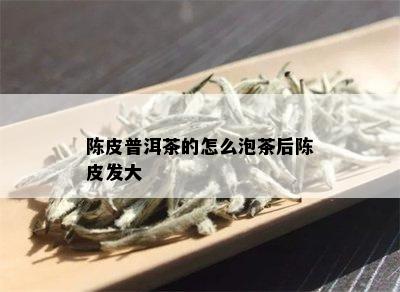 陈皮普洱茶的怎么泡茶后陈皮发大