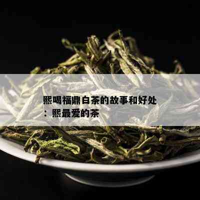 熙喝福鼎白茶的故事和好处：熙更爱的茶