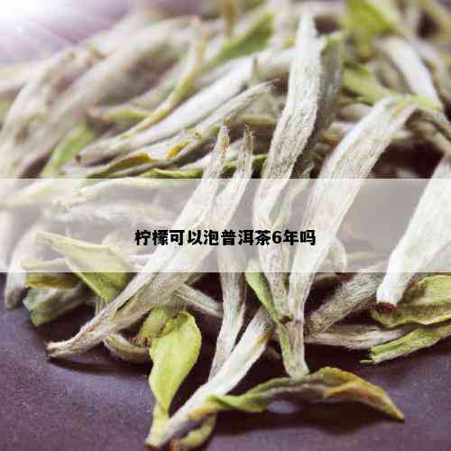 柠檬可以泡普洱茶6年吗