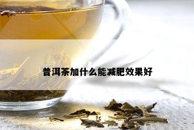 普洱茶加什么能减肥效果好