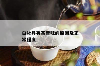 白牡丹有茶青味的原因及正常程度