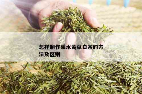 怎样制作溪水黄草白茶的方法及区别