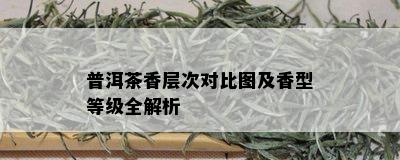 普洱茶香层次对比图及香型等级全解析