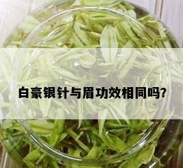 白豪银针与眉功效相同吗？