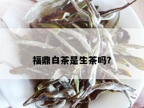 福鼎白茶是生茶吗？