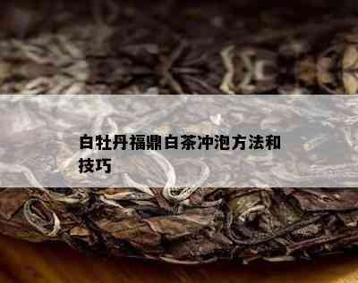 白牡丹福鼎白茶冲泡方法和技巧