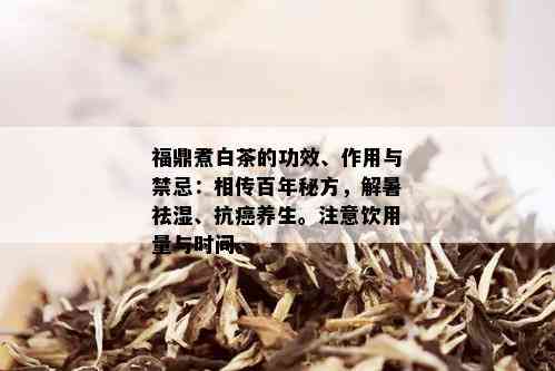 福鼎煮白茶的功效、作用与禁忌：相传百年秘方，解暑祛湿、抗癌养生。注意饮用量与时间。