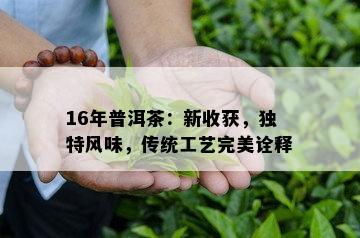 16年普洱茶：新收获，独特风味，传统工艺完美诠释