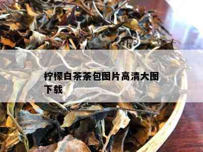 柠檬白茶茶包图片高清大图下载