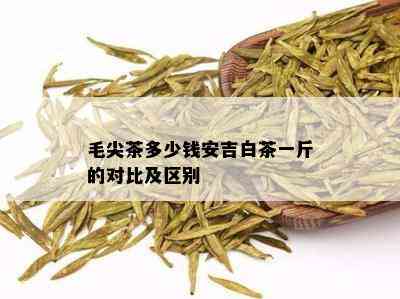 毛尖茶多少钱安吉白茶一斤的对比及区别