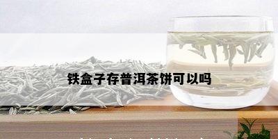 铁盒子存普洱茶饼可以吗