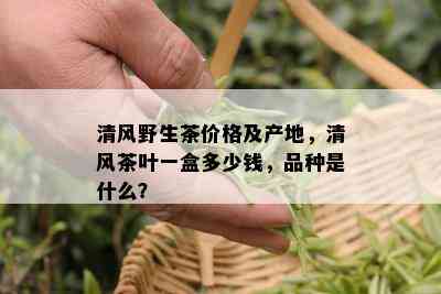 清风野生茶价格及产地，清风茶叶一盒多少钱，品种是什么？