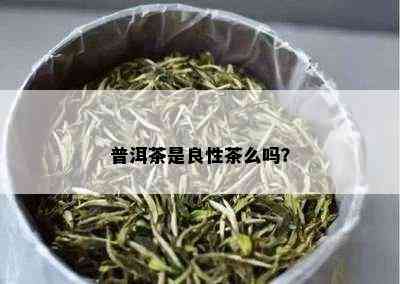 普洱茶是良性茶么吗？