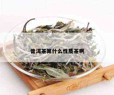 普洱茶算什么性质茶啊