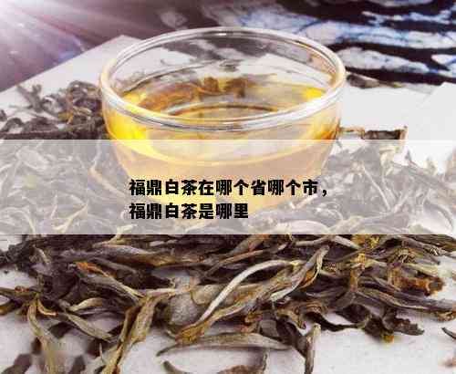 福鼎白茶在哪个省哪个市，福鼎白茶是哪里