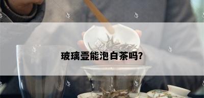 玻璃壶能泡白茶吗？