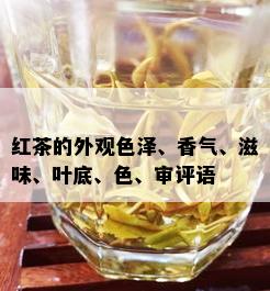 红茶的外观色泽、香气、滋味、叶底、色、审评语