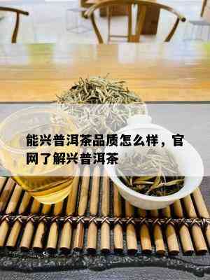 能兴普洱茶品质怎么样，官网了解兴普洱茶