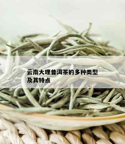 云南大理普洱茶的多种类型及其特点