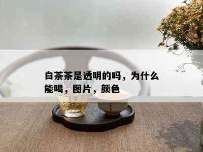 白茶茶是透明的吗，为什么能喝，图片，颜色