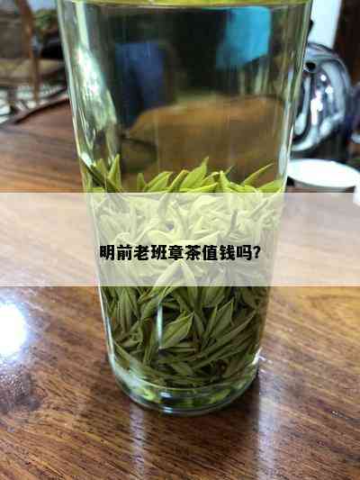 明前老班章茶值钱吗？