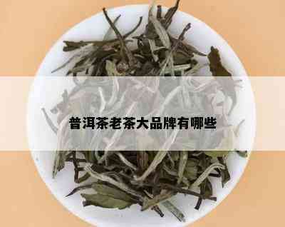 普洱茶老茶大品牌有哪些