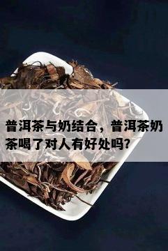 普洱茶与奶结合，普洱茶奶茶喝了对人有好处吗？