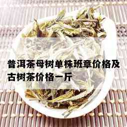 普洱茶母树单株班章价格及古树茶价格一斤