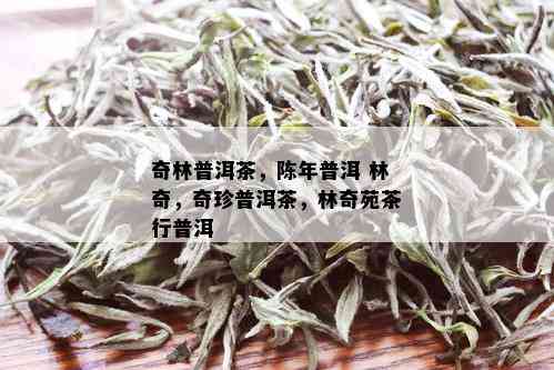 奇林普洱茶，陈年普洱 林奇，奇珍普洱茶，林奇苑茶行普洱