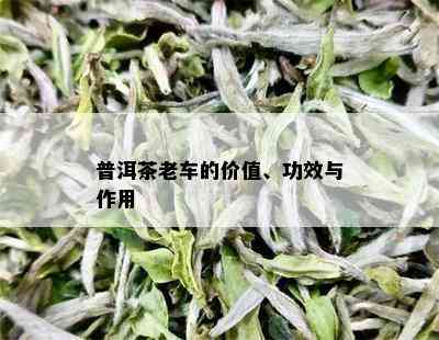 普洱茶老车的价值、功效与作用