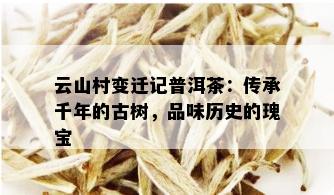 云山村变迁记普洱茶：传承千年的古树，品味历史的瑰宝