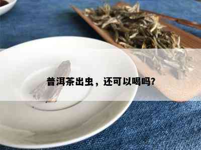 普洱茶出虫，还可以喝吗？