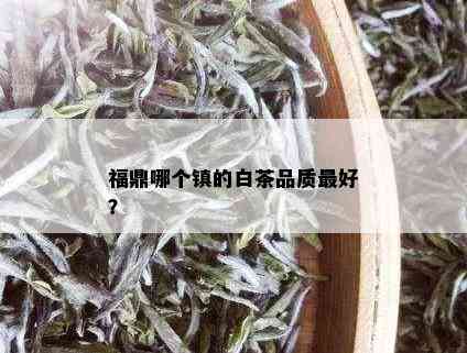 福鼎哪个镇的白茶品质更好？