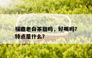 福鼎老白茶甜吗，好喝吗？特点是什么？