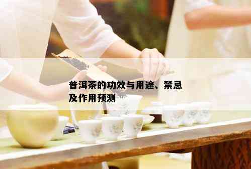 普洱茶的功效与用途、禁忌及作用预测