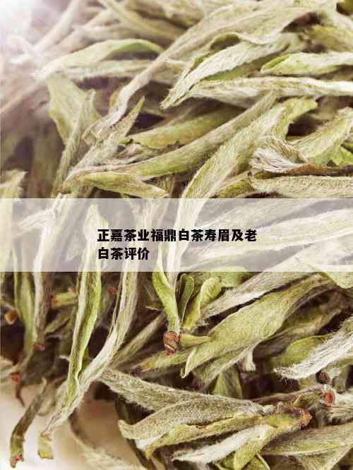 正嘉茶业福鼎白茶寿眉及老白茶评价