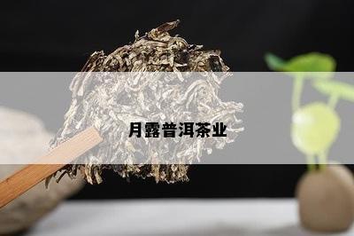 月露普洱茶业