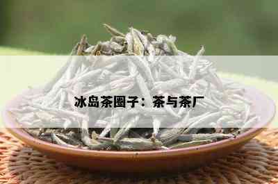 冰岛茶圈子：茶与茶厂