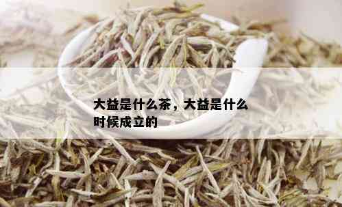 大益是什么茶，大益是什么时候成立的