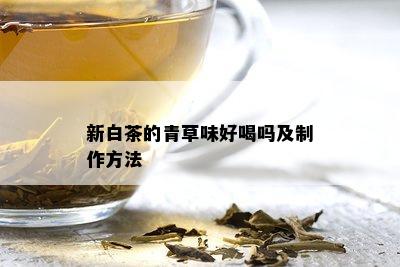 新白茶的青草味好喝吗及制作方法