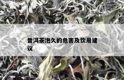 普洱茶泡久的危害及饮用建议