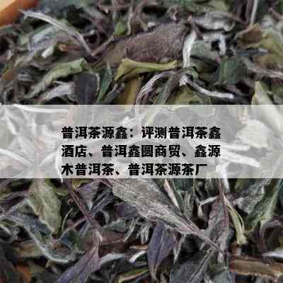 普洱茶源鑫：评测普洱茶鑫店、普洱鑫圆商贸、鑫源木普洱茶、普洱茶源茶厂