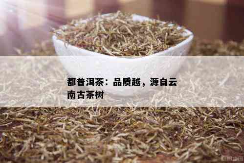 都普洱茶：品质越，源自云南古茶树