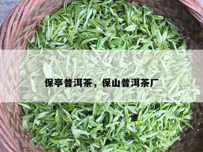 保亭普洱茶，保山普洱茶厂