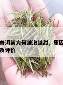 普洱茶为何越泡越甜，原因及评价