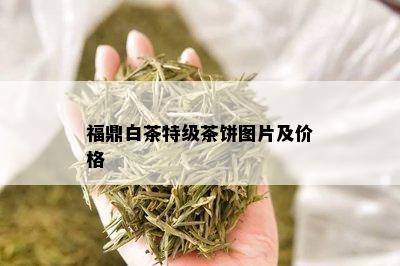 福鼎白茶特级茶饼图片及价格